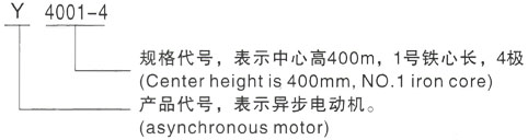 西安泰富西玛Y系列(H355-1000)高压YKS5602-2三相异步电机型号说明