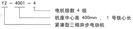 YR系列(H355-1000)高压YKS5602-2三相异步电机西安西玛电机型号说明